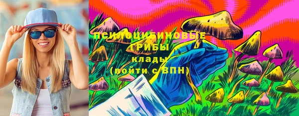 соль ск Вязьма