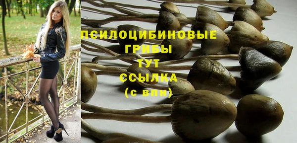 прущий лед Вязники
