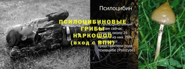 амфетамин Вяземский