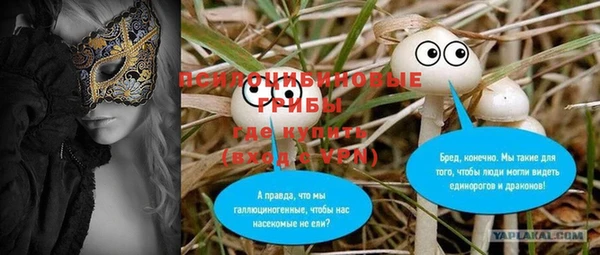 прущий лед Вязники