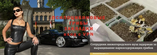 соль ск Вязьма