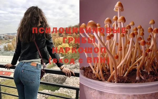соль ск Вязьма