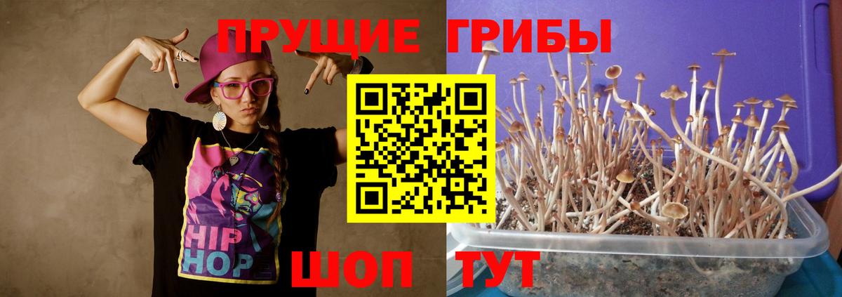 Альметьевск  где купить наркоту  Вход с VPN  Галлюциногенные грибы MAGIC MUSHROOMS  Псилоцибиновые грибы мухоморы 