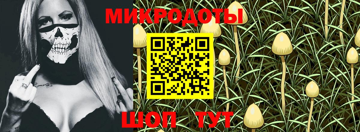 Галлюциногенные грибы Magic Shrooms Альметьевск
