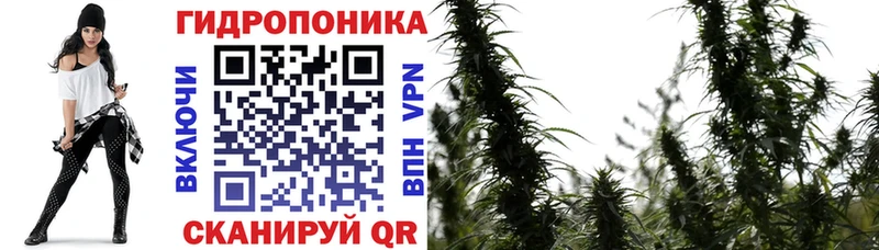 Конопля OG Kush  omg маркетплейс  Альметьевск 
